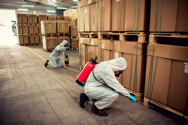 Best Cockroach Control Services  in Homestead Meadows South, TX