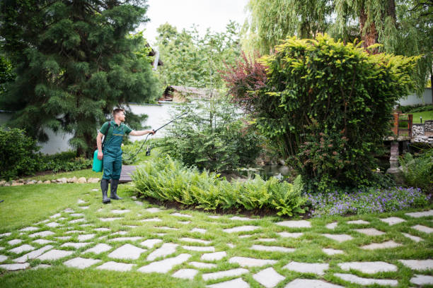 Best Residential Pest Control  in Homestead Meadows South, TX