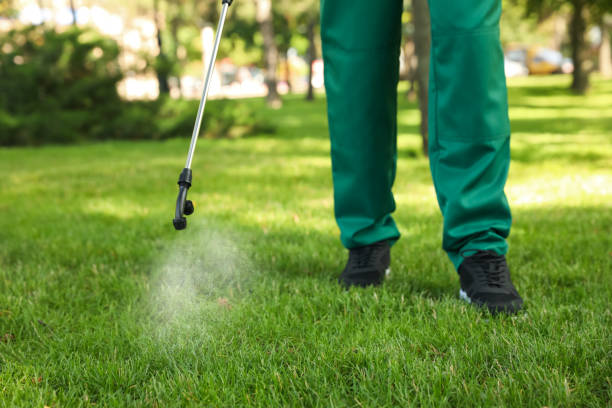 Pest Prevention Services in Homestead Meadows South, TX