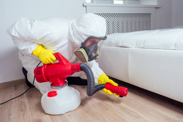 Best Best Pest Control Companies  in Homestead Meadows South, TX