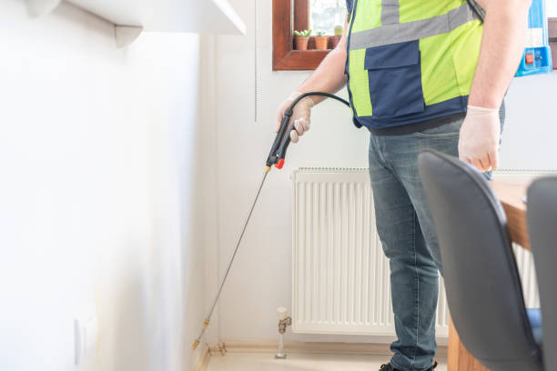 Professional Pest Control in Homestead Meadows South, TX