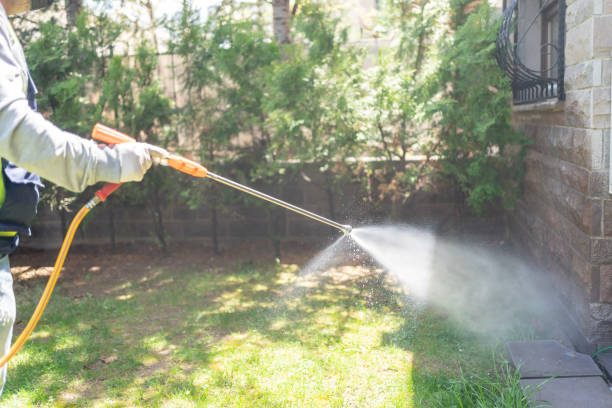 Best Termite Control Services  in Homestead Meadows South, TX