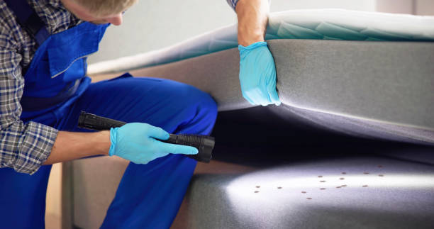 Best Emergency Pest Control  in Homestead Meadows South, TX