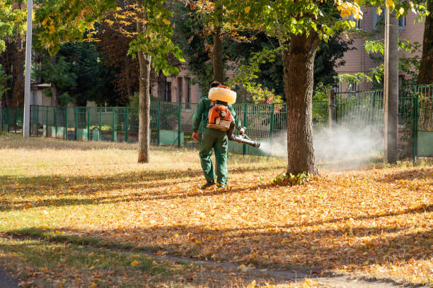 Best Affordable Pest Control Services  in Homestead Meadows South, TX