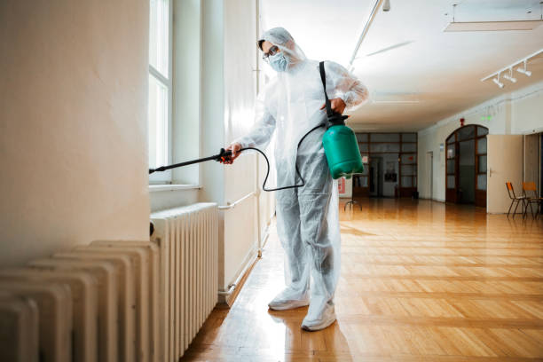 Best Pest Inspection Near Me  in Homestead Meadows South, TX